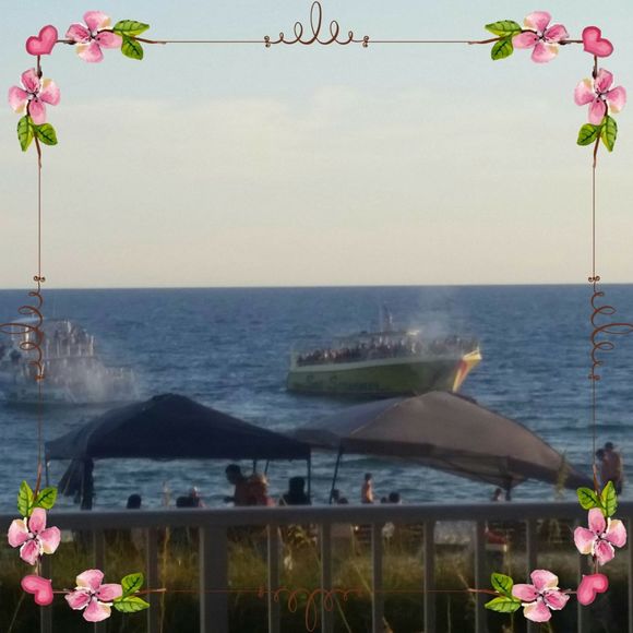 Meet your Posher, Jenny - Picture 1 of 1